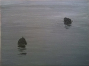 Coots_1